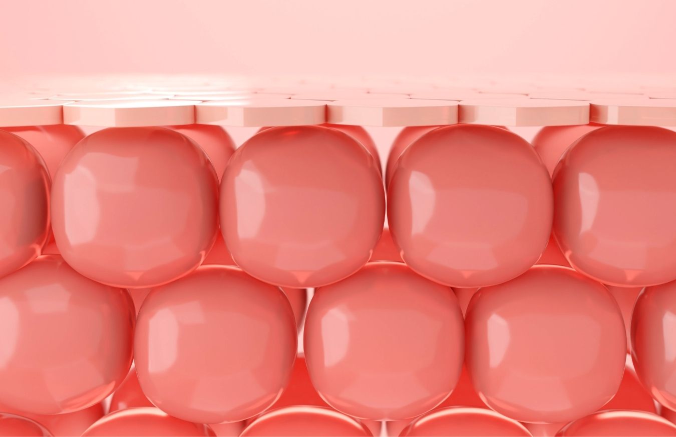 Organic Bio Life Collagen